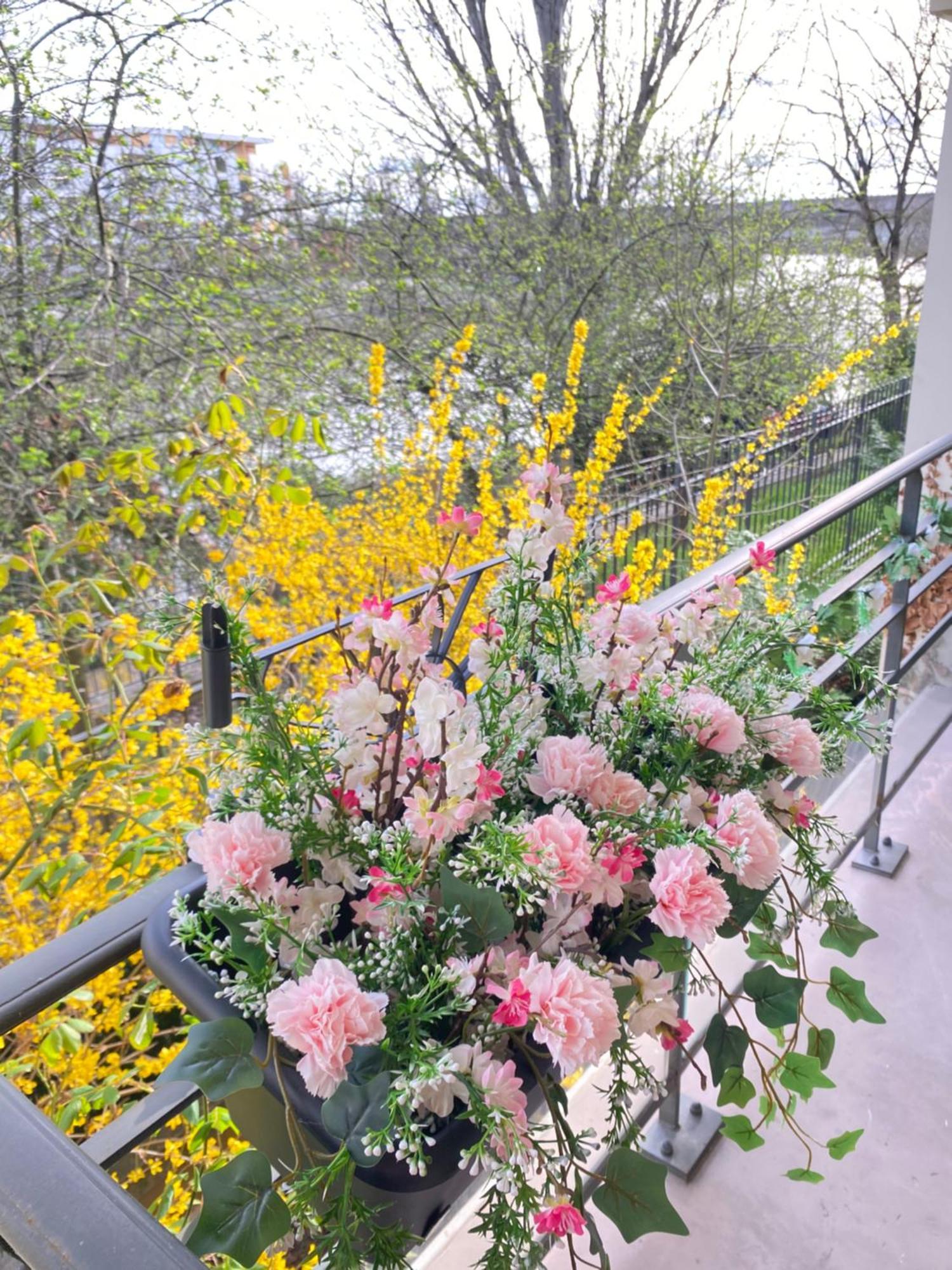 Cozy Riverfront Living, 5-Min Walk To Riverside Train 讷伊-普莱桑斯 外观 照片